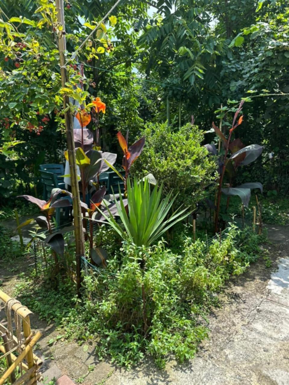 באטומי Guest House Barbi מראה חיצוני תמונה