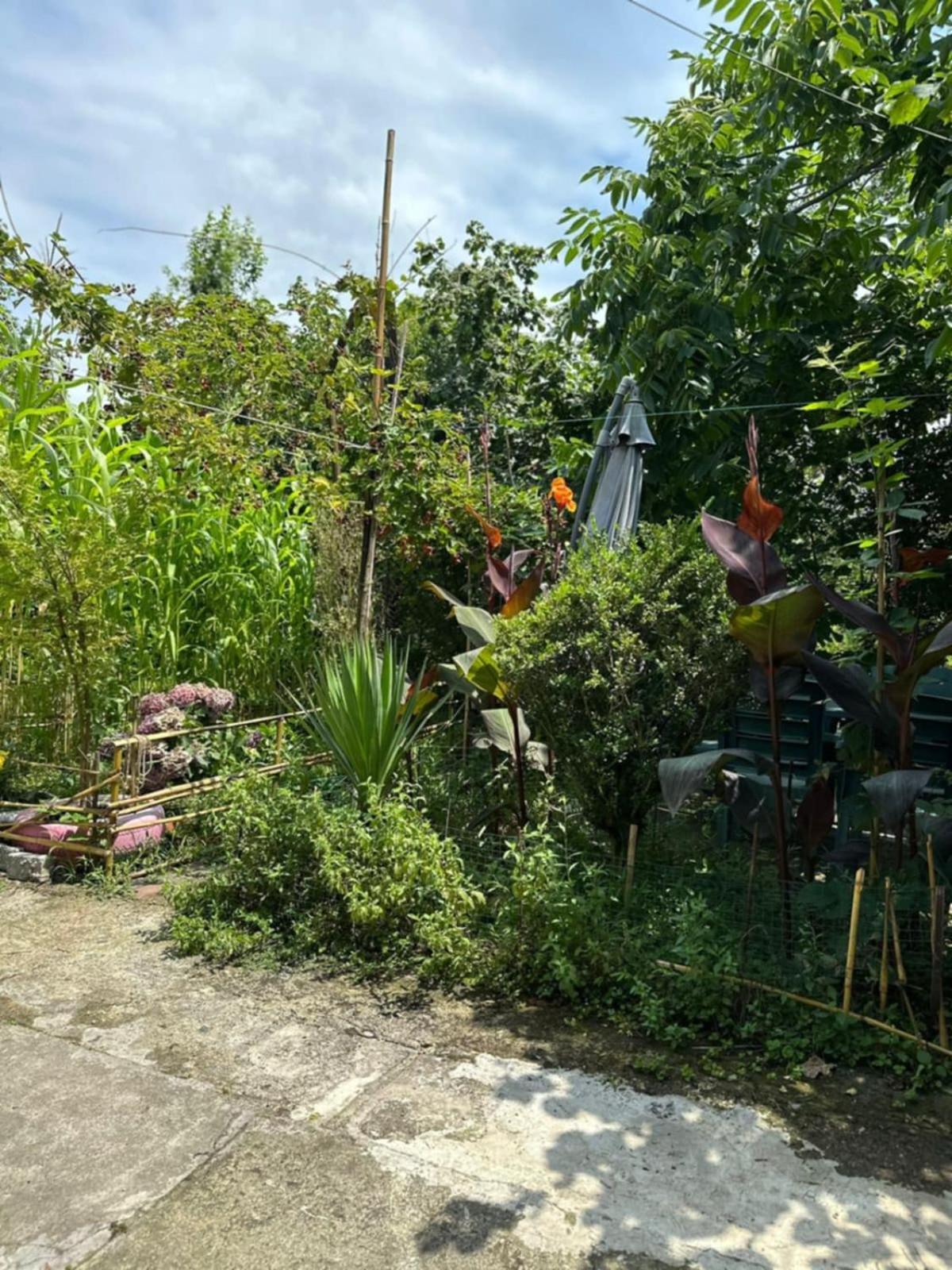 באטומי Guest House Barbi מראה חיצוני תמונה